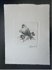 Belgique 1996 COB 2665 Epreuve