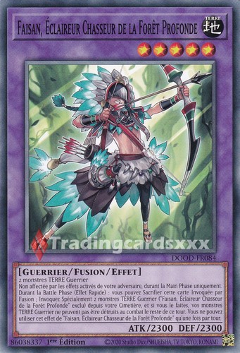 Faisan éclaireur - yu-gi-oh!, faisan,
