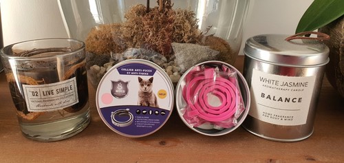 Collier anti puces - anti-puces, anti-tiques