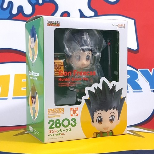 Hunter gon freecs - x,