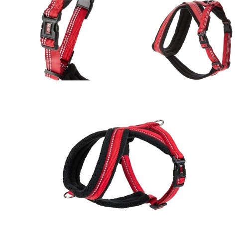 Harnais pour chien - pour, halti