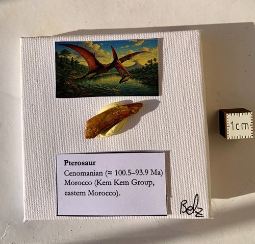 Mini art display - art, –