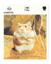 Fact sheet - Le livre de Paris - 1975 - hamster