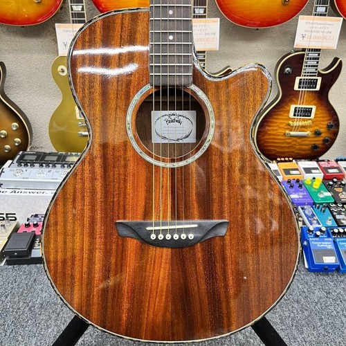Guitare électro acoustique - guitare, électro-acoustique