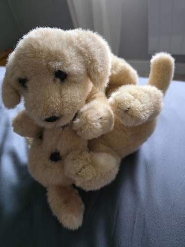 Chiens chiots labrador - 2,