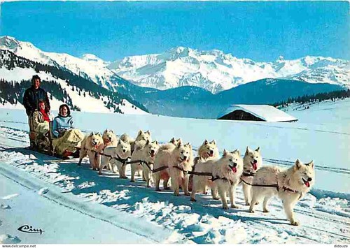 Carte postale animaux - animaux,
