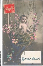 AKYP6-0585-CHILD - HAPPY NEW YEAR - BABY IN A NEST