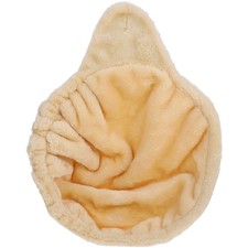  Fenêtre De Perchoir Chat