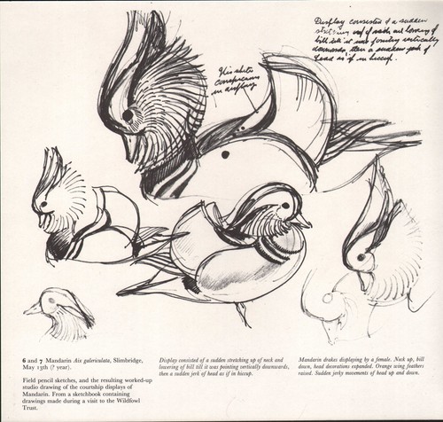 Beau vintage dessins - beau,