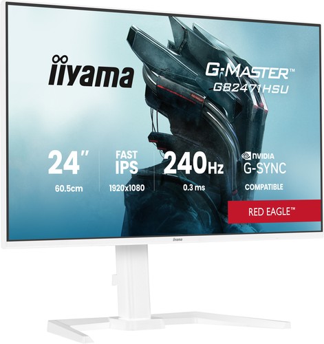 Iiyama master gb2471hsu w1 - iiyama, g-master