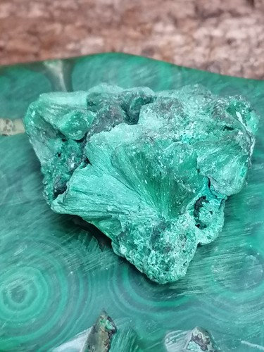 Malachite fibreuse - , –
