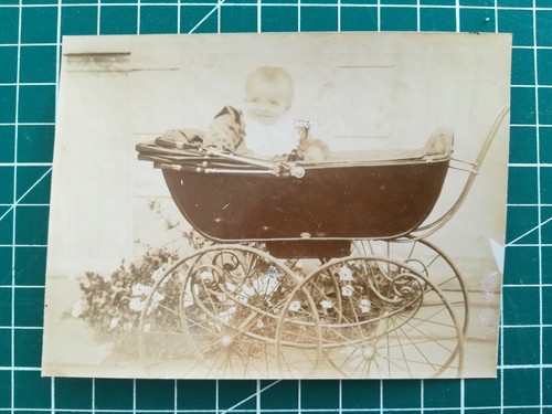 Gg022 albumen photo - albumen,