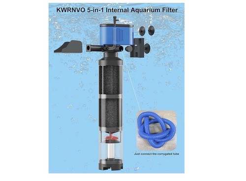 Internal aquarium fish - internal,