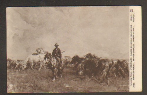 Manade chevaux camargue - chevaux, en