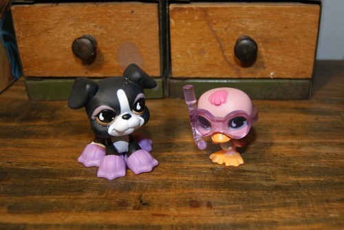 Petshop duo chien dogue - ,