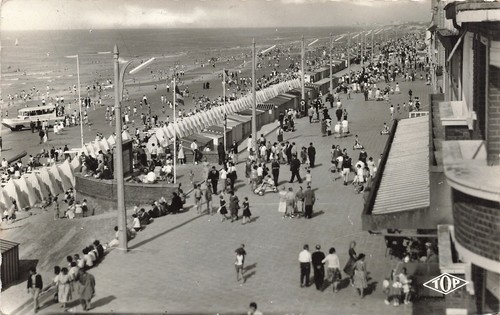 Bray dunes plage - dunes,