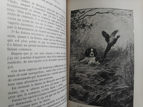 Leroy circa 1900 voliere - circa,