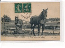 NOGENT LE ROTROU: Perche, Horses on the Prairie - Very Good Condition