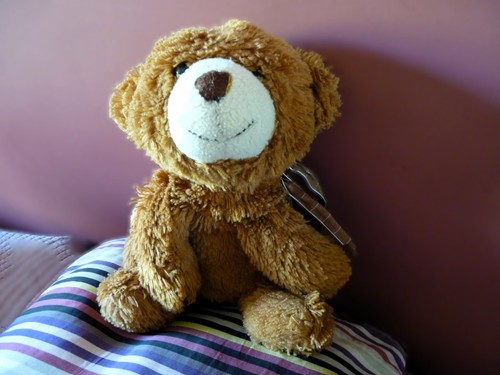 Ours peluche doudou - peluche,