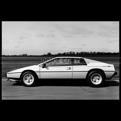 Photo 009793 lotus esprit - photo,
