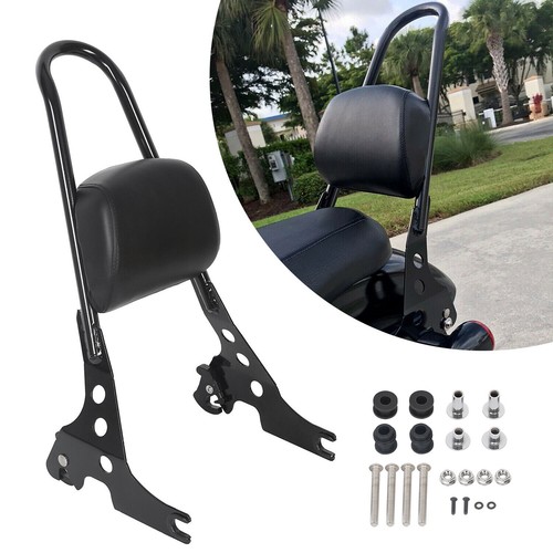 Detachable passenger sissy bar - detachable,