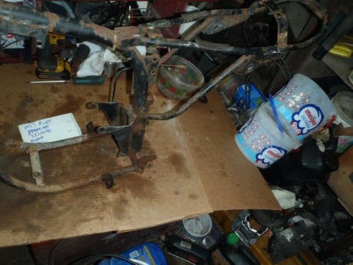 1973 rupp mini - , main