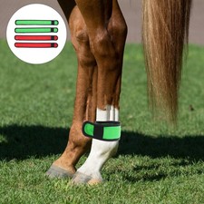  4 Pcs Ceinture Équestre