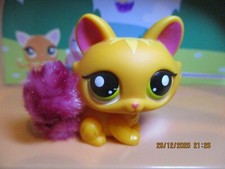 Petshop chat sphynx fourrure