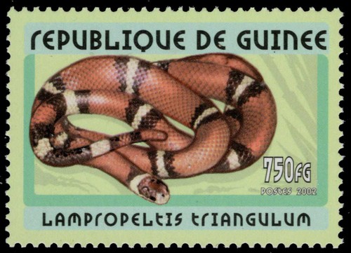 Guinea republic 2112 - yt,