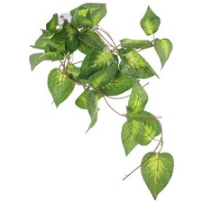  Décor De Terrarium D'habitat