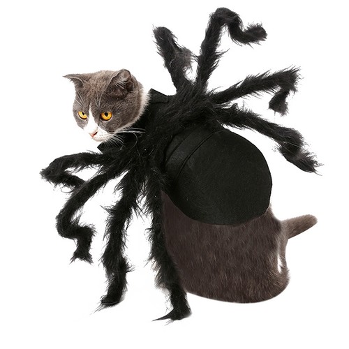 Déguisement halloween pour - déguisement,