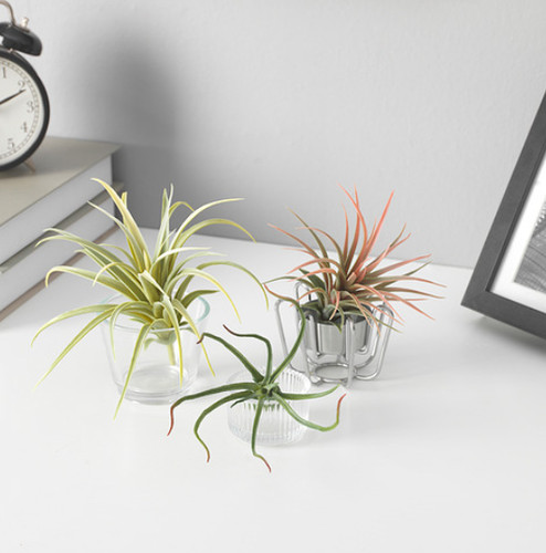 Plante artificielle ikea - plante,