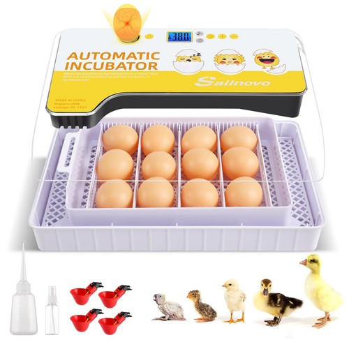 Incubateur sailnovo pour - sailnovo,