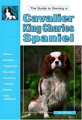 The guide owning cavalier - the, to