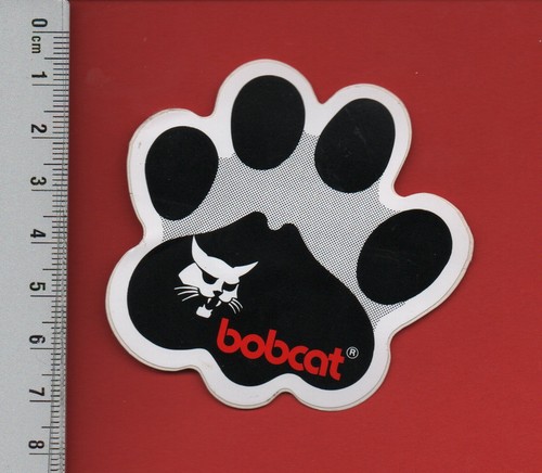 Bobcat chat - bobcat,