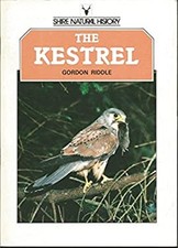 Le Kestrel Broché Gordon