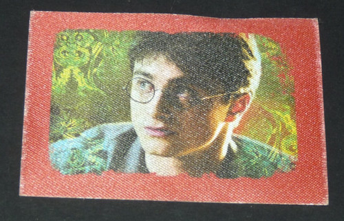 Panini harry potter - harry,