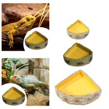 Reptile Dish tank Decor Decor