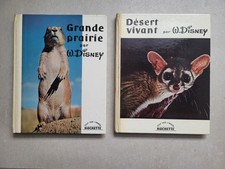 Walt Disney Grande prairie et