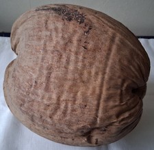 Grosse Noix de coco, cabosse