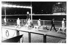 Photo Card - Greyhound Race May Be in Asia