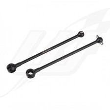 NEUF Team Associated Cardani