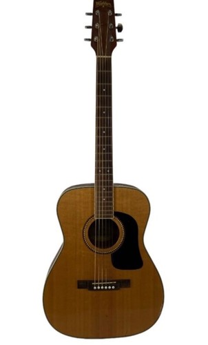 Washburn 10s acoustic guitar - f-10s,