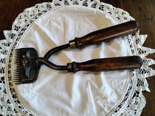 Ancienne tondeuse mouton - ,