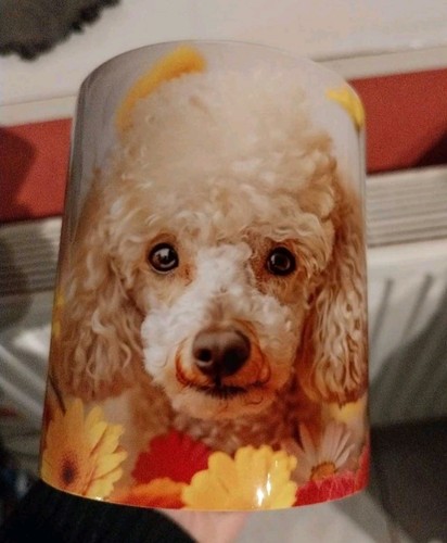 Mug caniche chien animaux - caniche,,