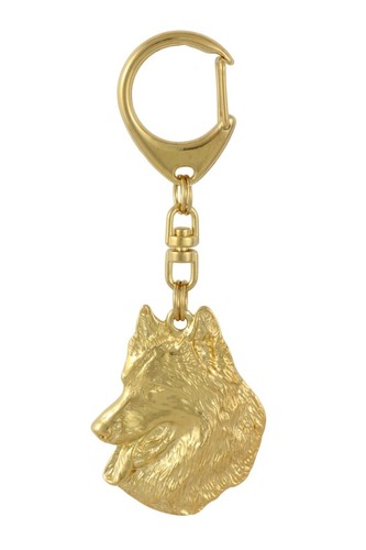 Chien berger belge - chien,