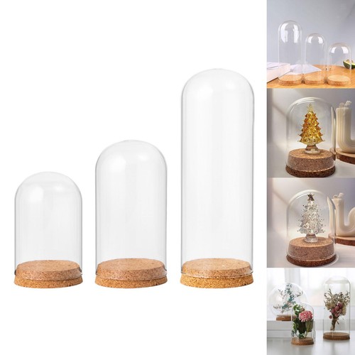 Cloche verre dôme - verre,