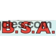 Blocs BSA