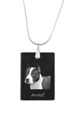 Amstaff Terrier, Amstaff -