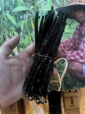 12 MAGNIFIQUE GOUSSES VANILLE